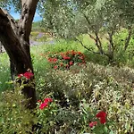 מלון The Originals City, Ecoparc, Montpellier Est 3*