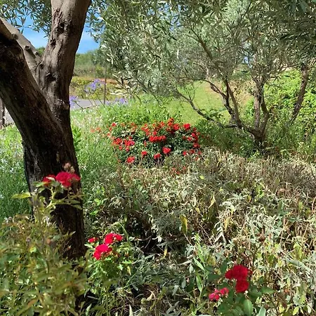 Hotel The Originals City, Ecoparc, Montpellier Est 3*