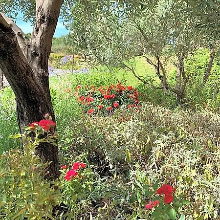 The Originals City, Ecoparc, Montpellier Est מלון 3*